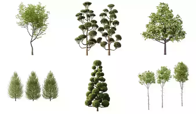 Excellent collection of Outdoor plants 11 Different Models 0032