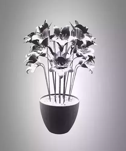 Flowers and pots with soil