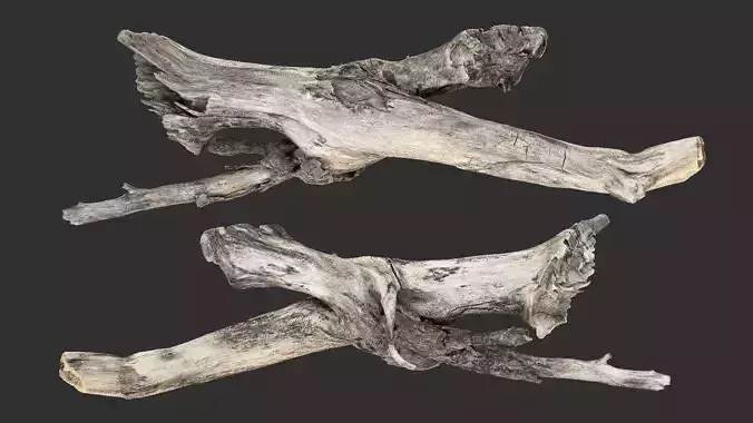 Realistic Tree Branch Trunk Wood 3D Scan in highpoly