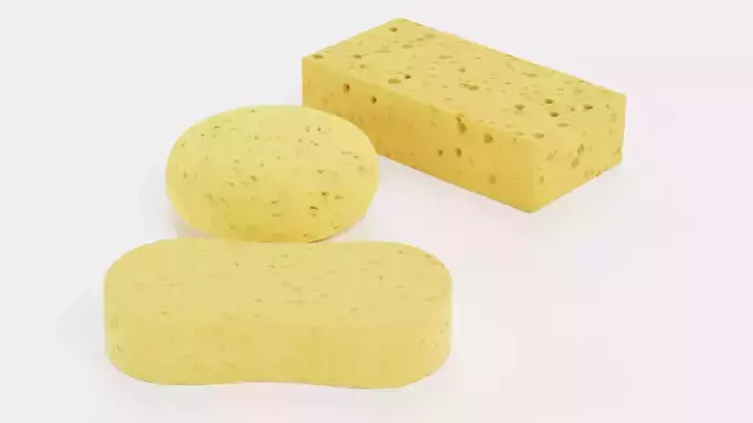 -Sponges-