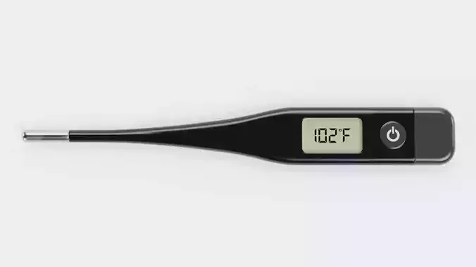 -Thermometer V2-