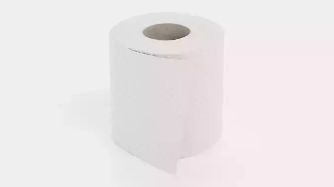 -Toilet Paper V4-