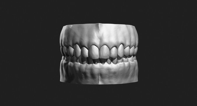 Teeth Sculpt for Production 3D model