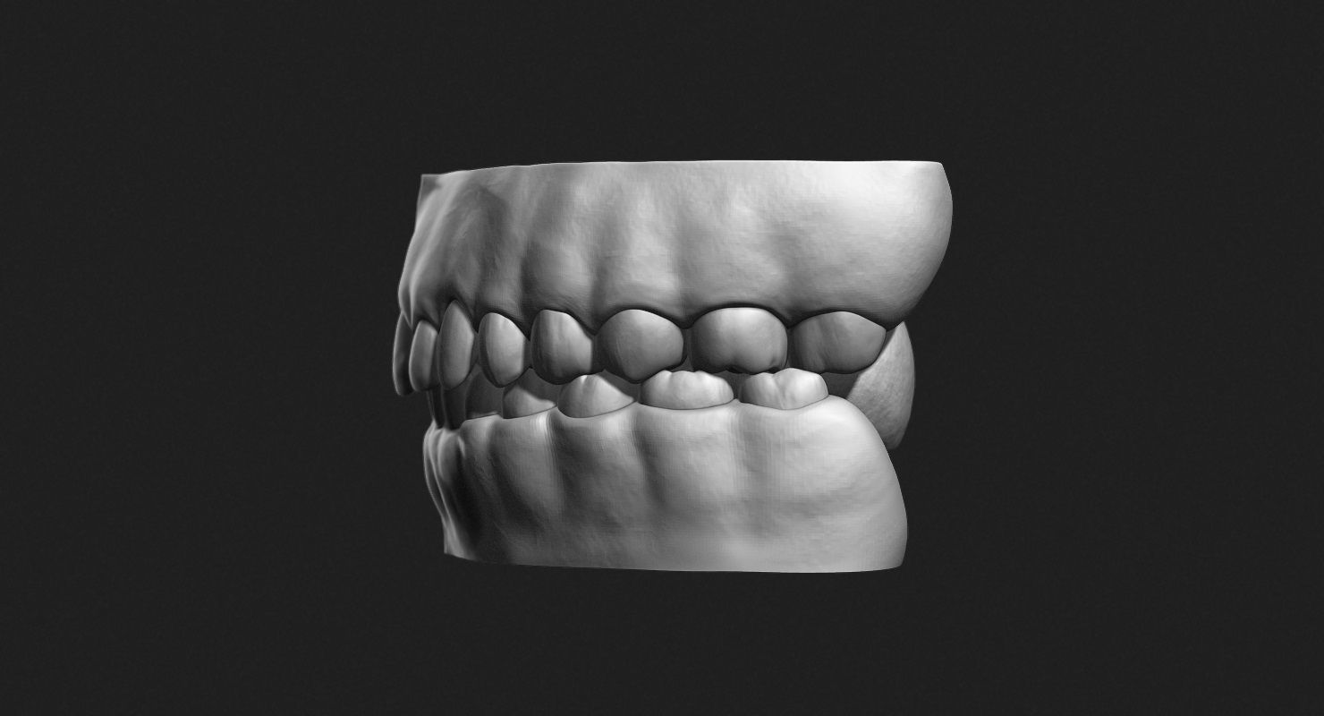 Teeth Sculpt for Production 3D model_3