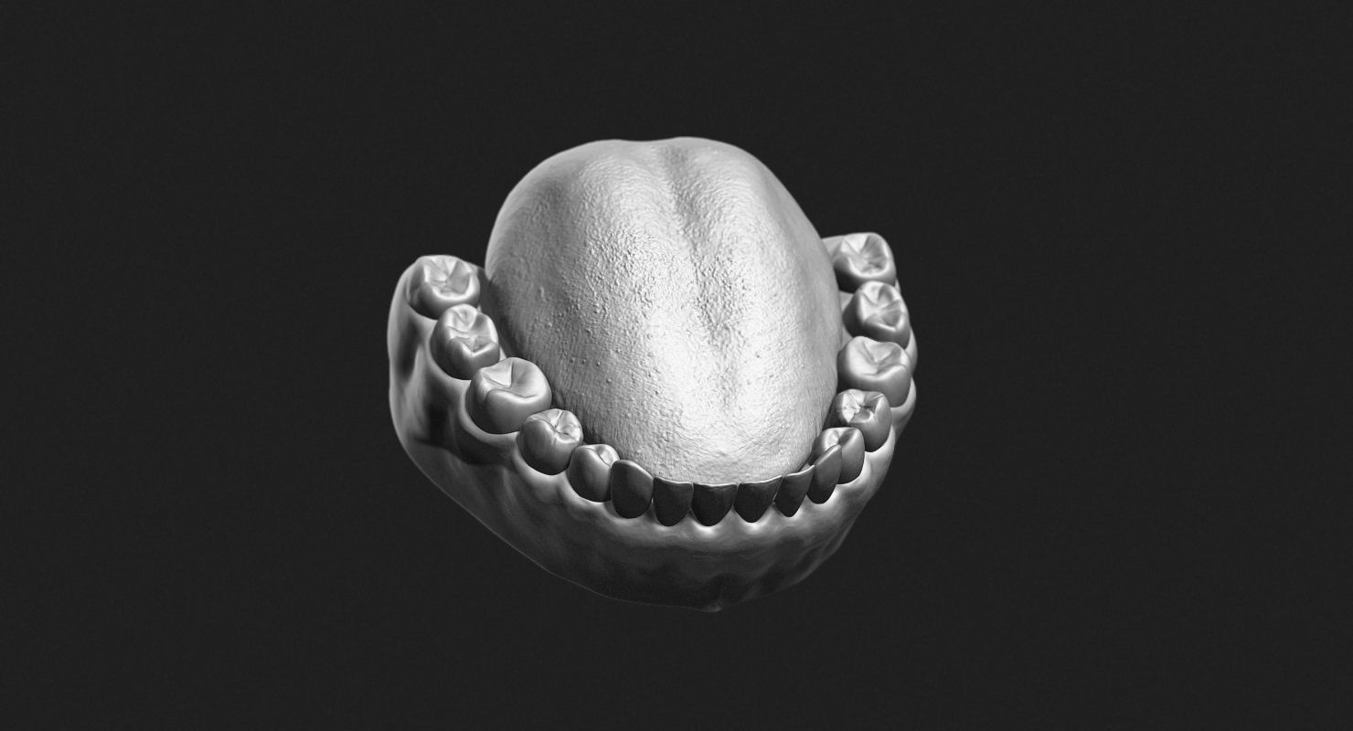 Teeth Sculpt for Production 3D model_5
