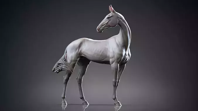 Akhal-Teke horse standing I 3D Sculpting