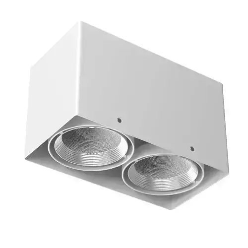 Ceiling Spot Light
