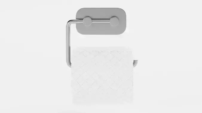 -Toilet Paper on Holder V3-