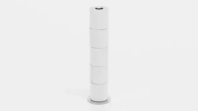 -Toilet Paper on Holder V4-