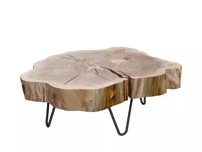 Rustic Tree Slice Coffee Table