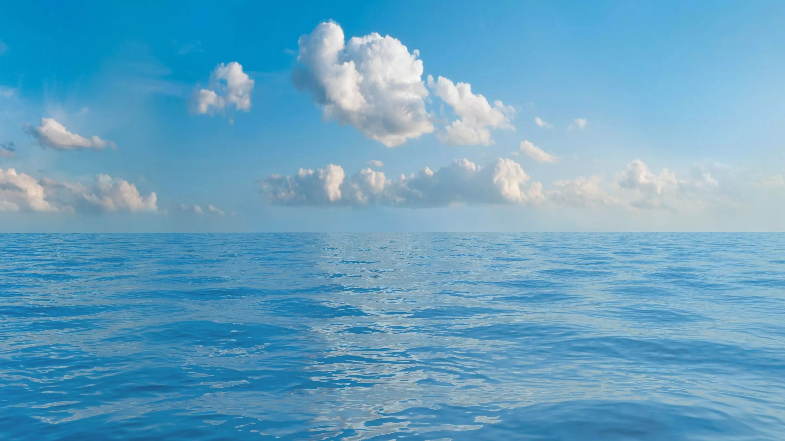 Seascape background with seamless sky panorama 3D model_0