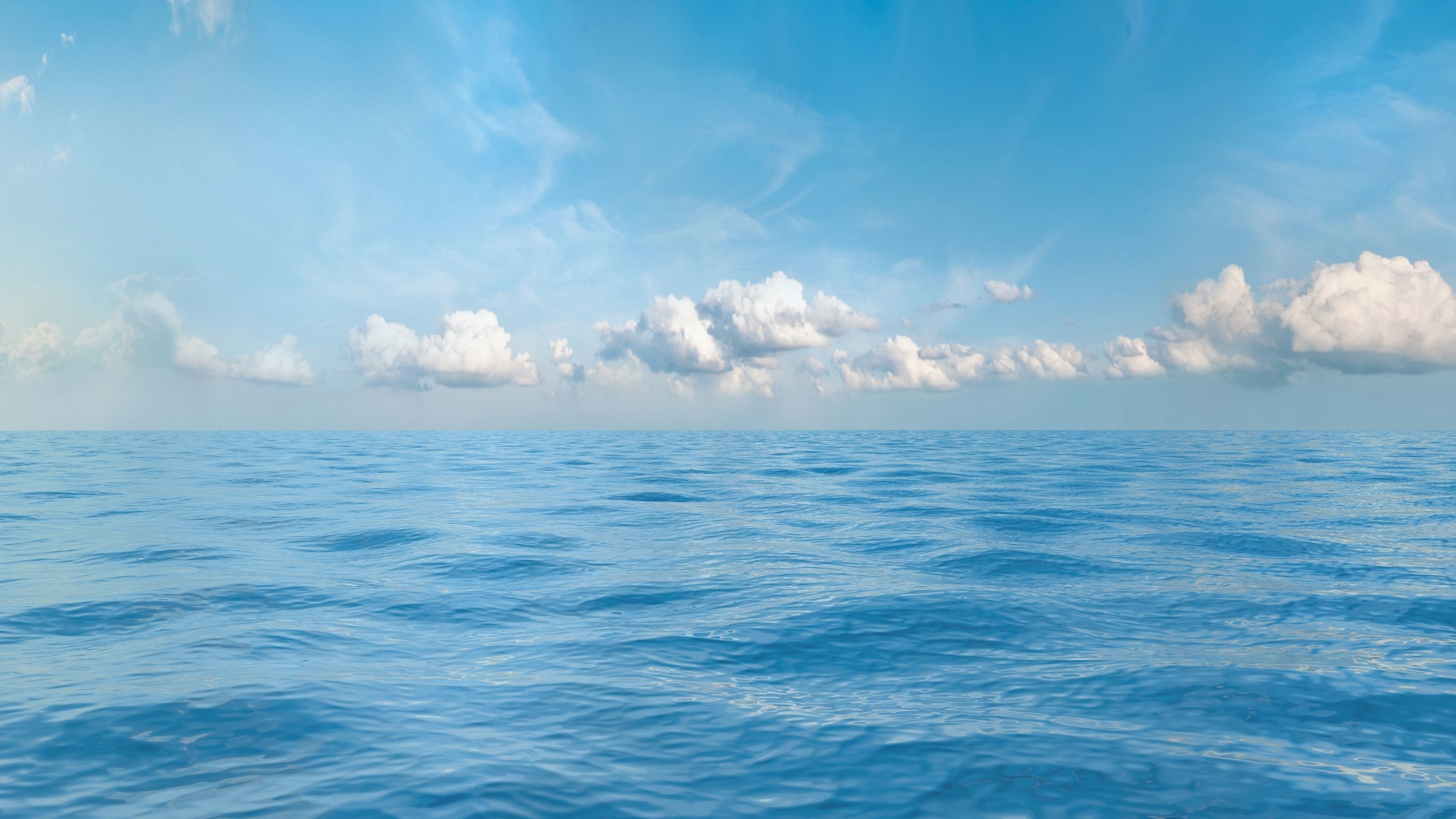 Seascape background with seamless sky panorama 3D model_2