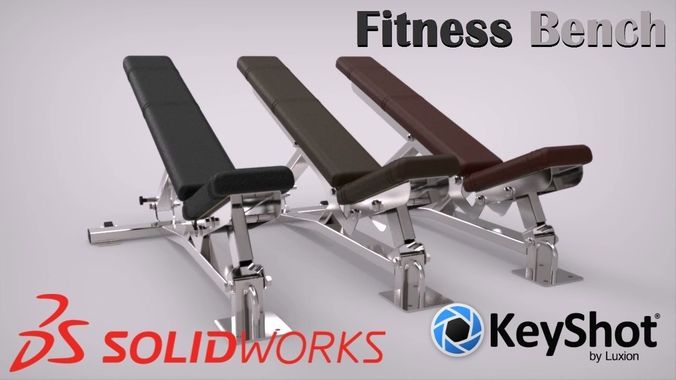 Fitness Bench Free 3D model