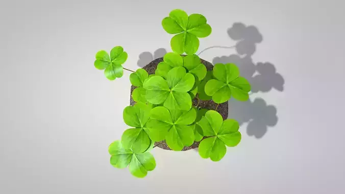 Plant Three-Leaf Clover 3D Model