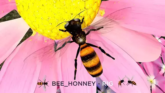 Bee Honey Movie 3D Model
