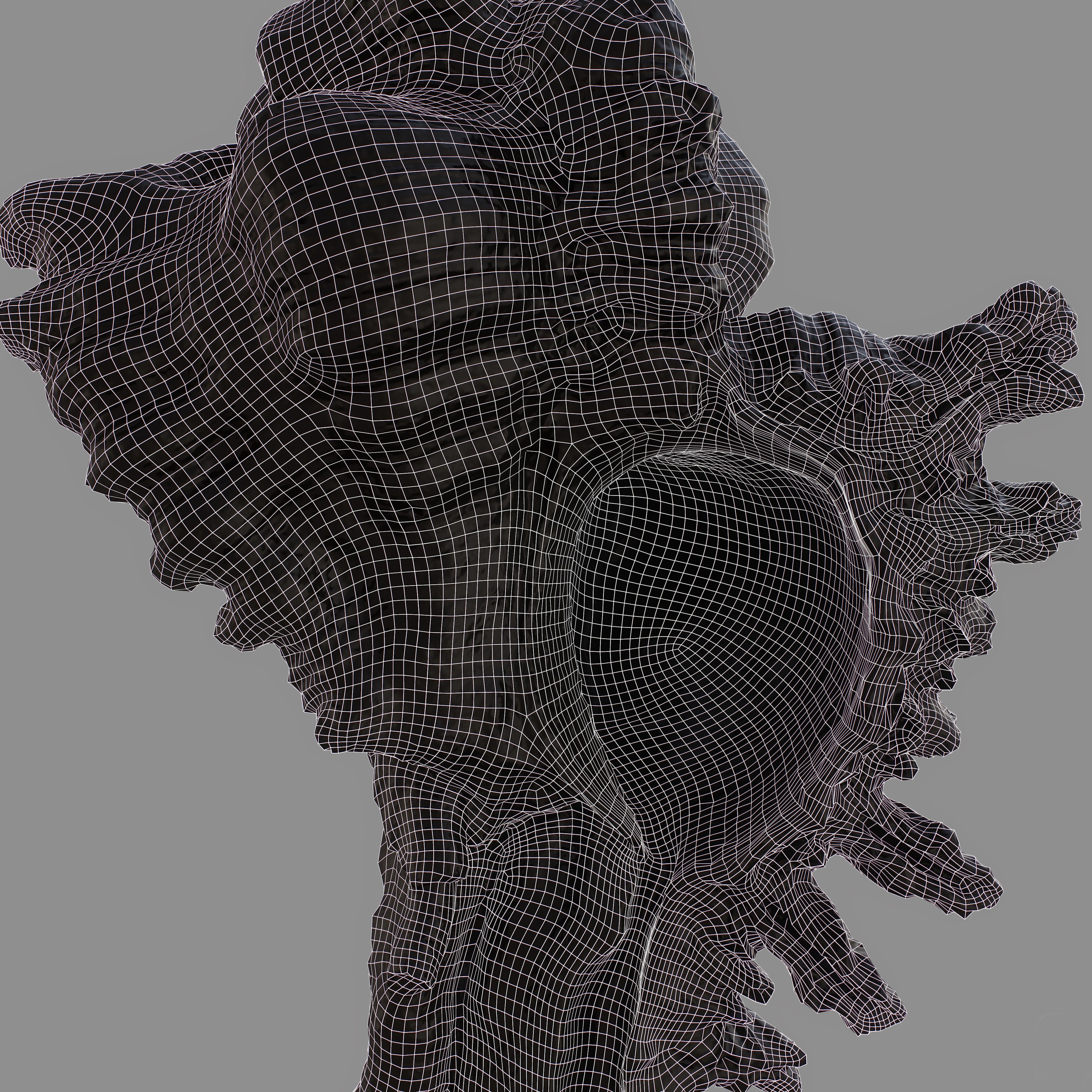 Chicoreus banksii BROWN Mollusk Sea Shell Low-poly 3D model_12