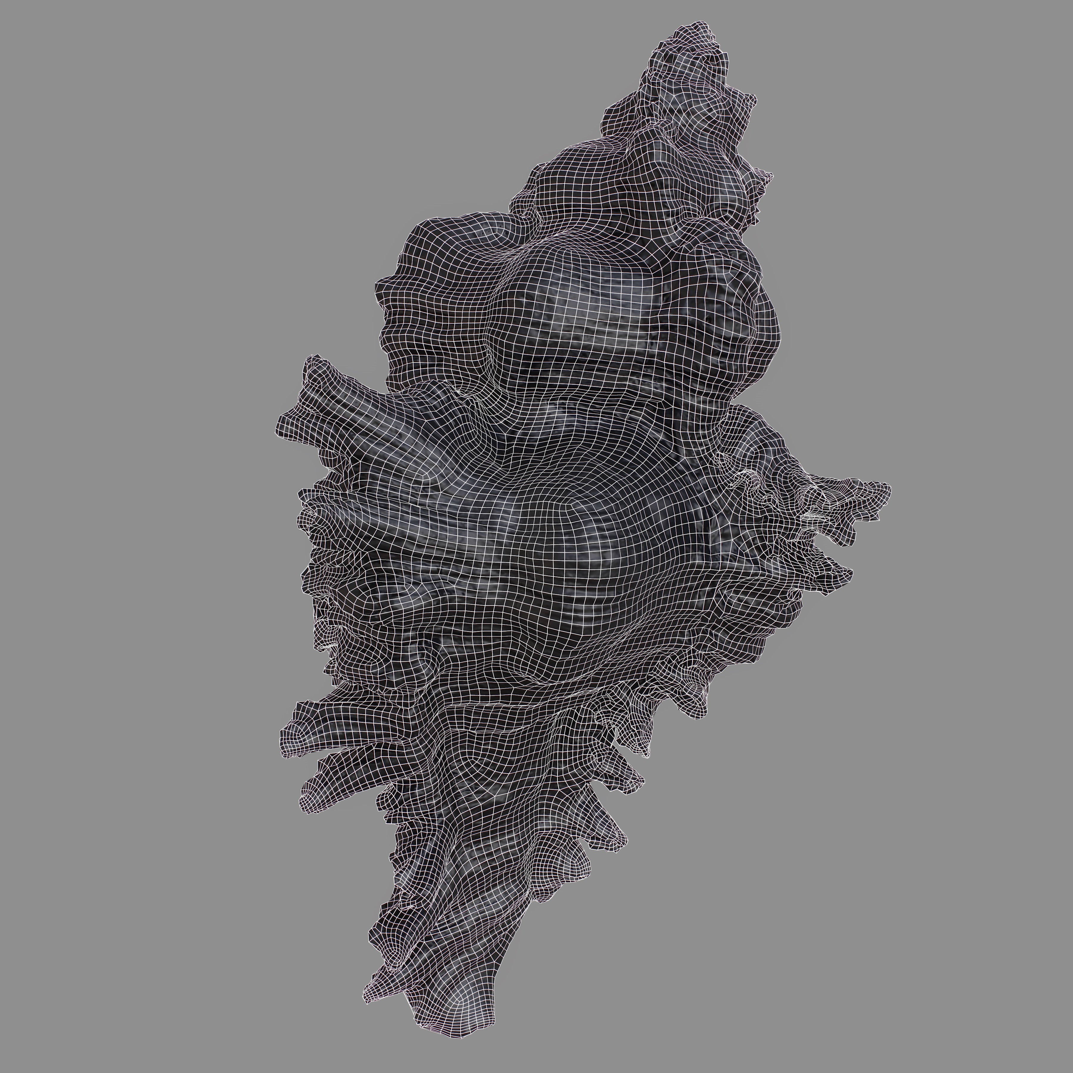 Chicoreus banksii BROWN Mollusk Sea Shell Low-poly 3D model_11