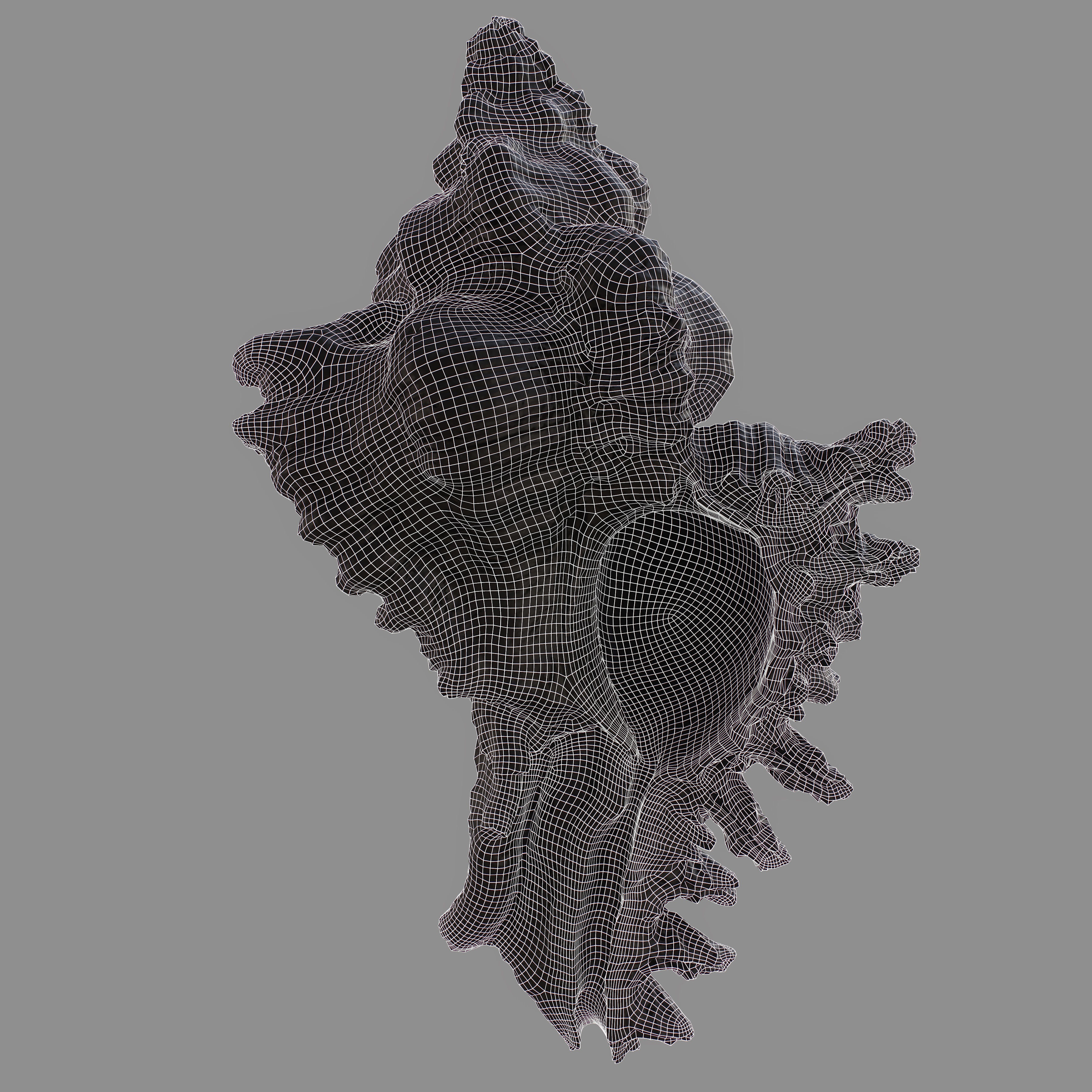 Chicoreus banksii BROWN Mollusk Sea Shell Low-poly 3D model_10