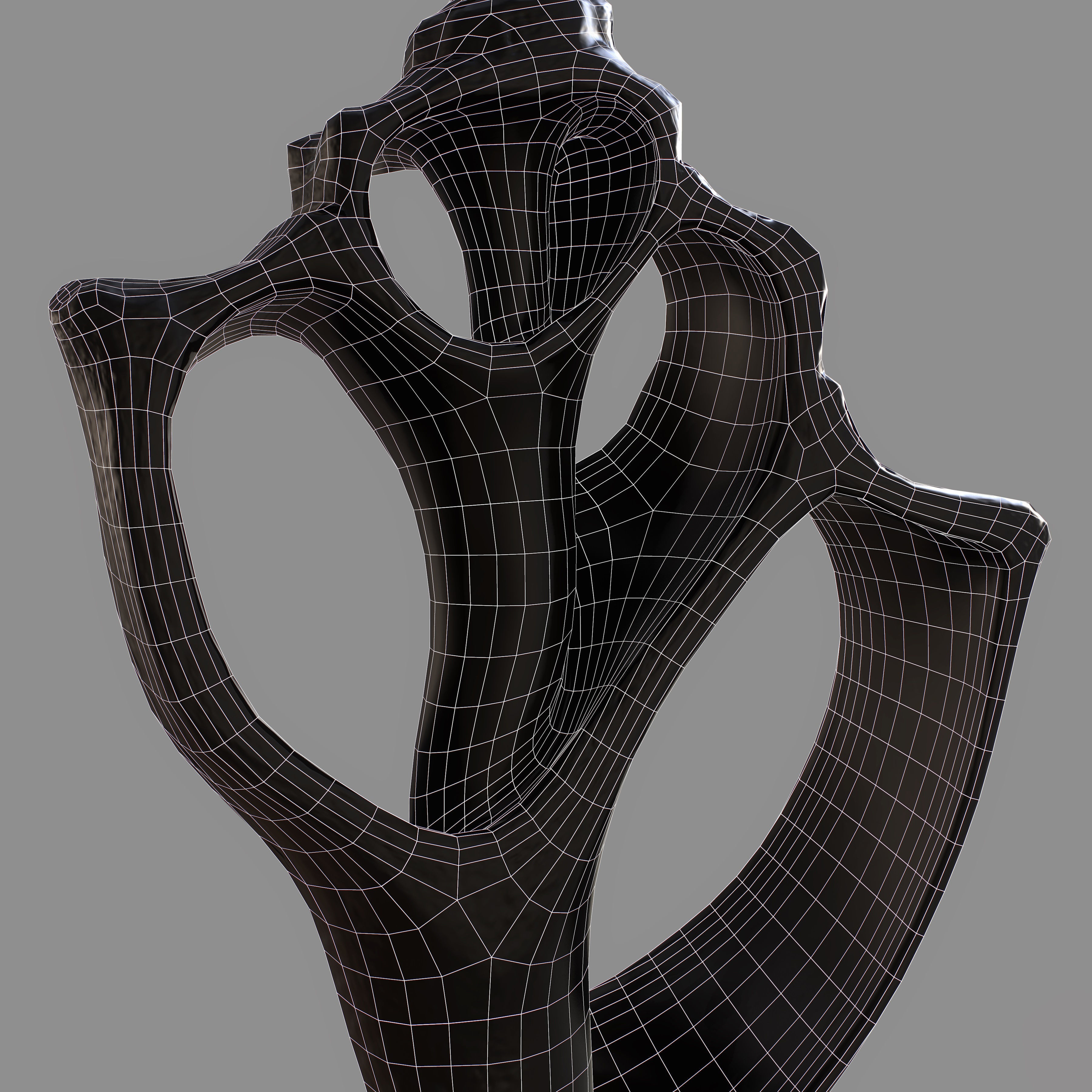 Cut Seashell Low-poly 3D model_11