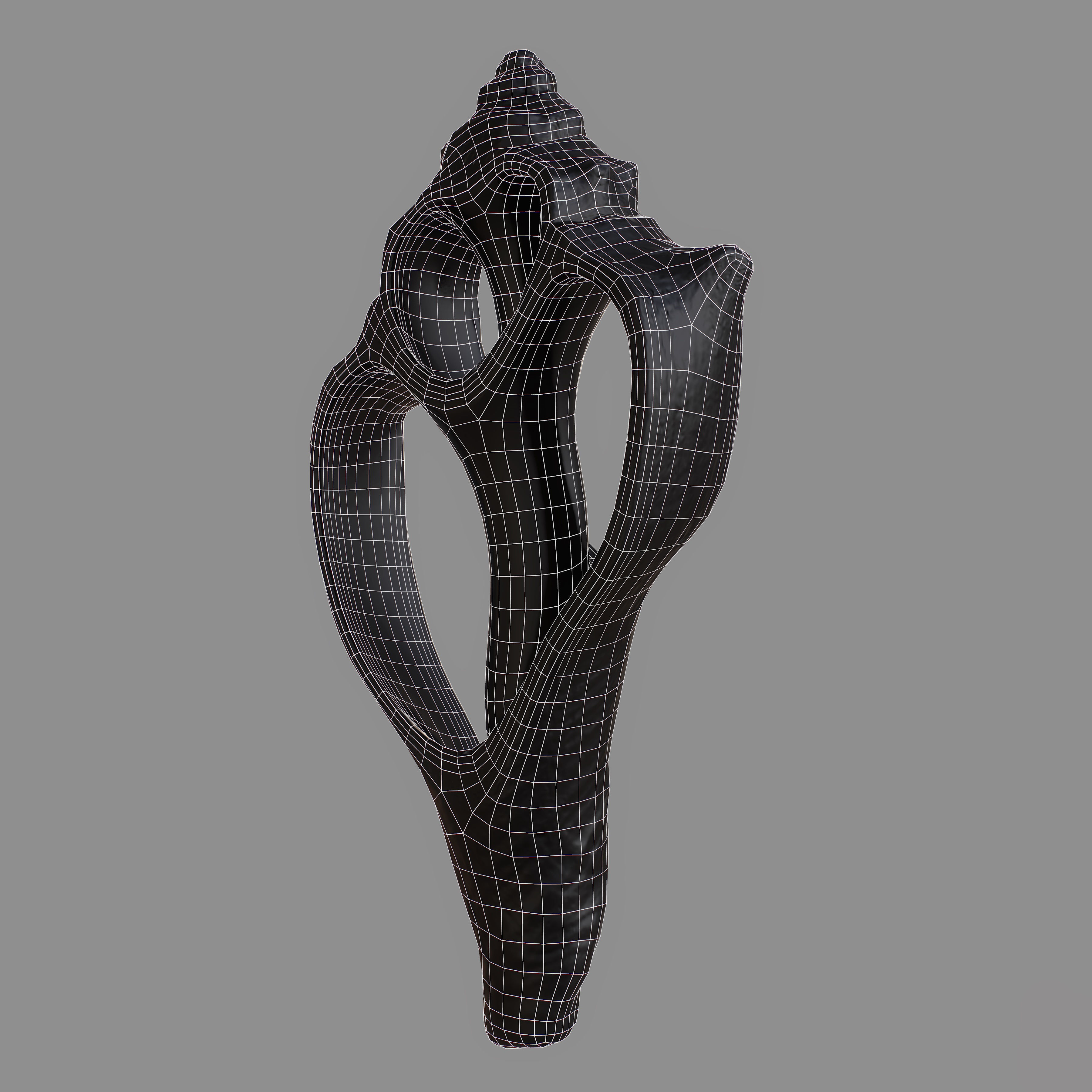 Cut Seashell Low-poly 3D model_10