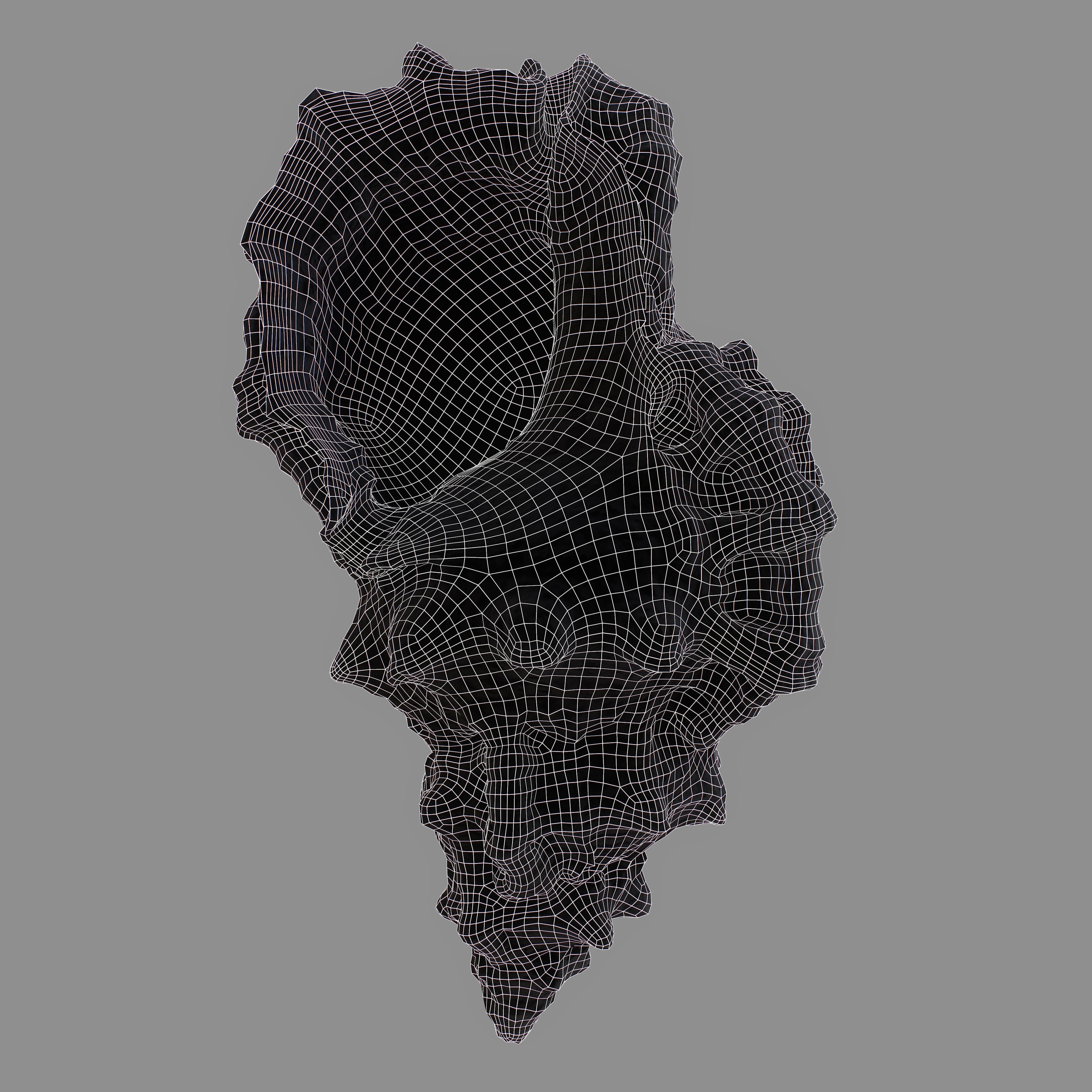 MURICIDAE Sea Shell Low-poly 3D model_10