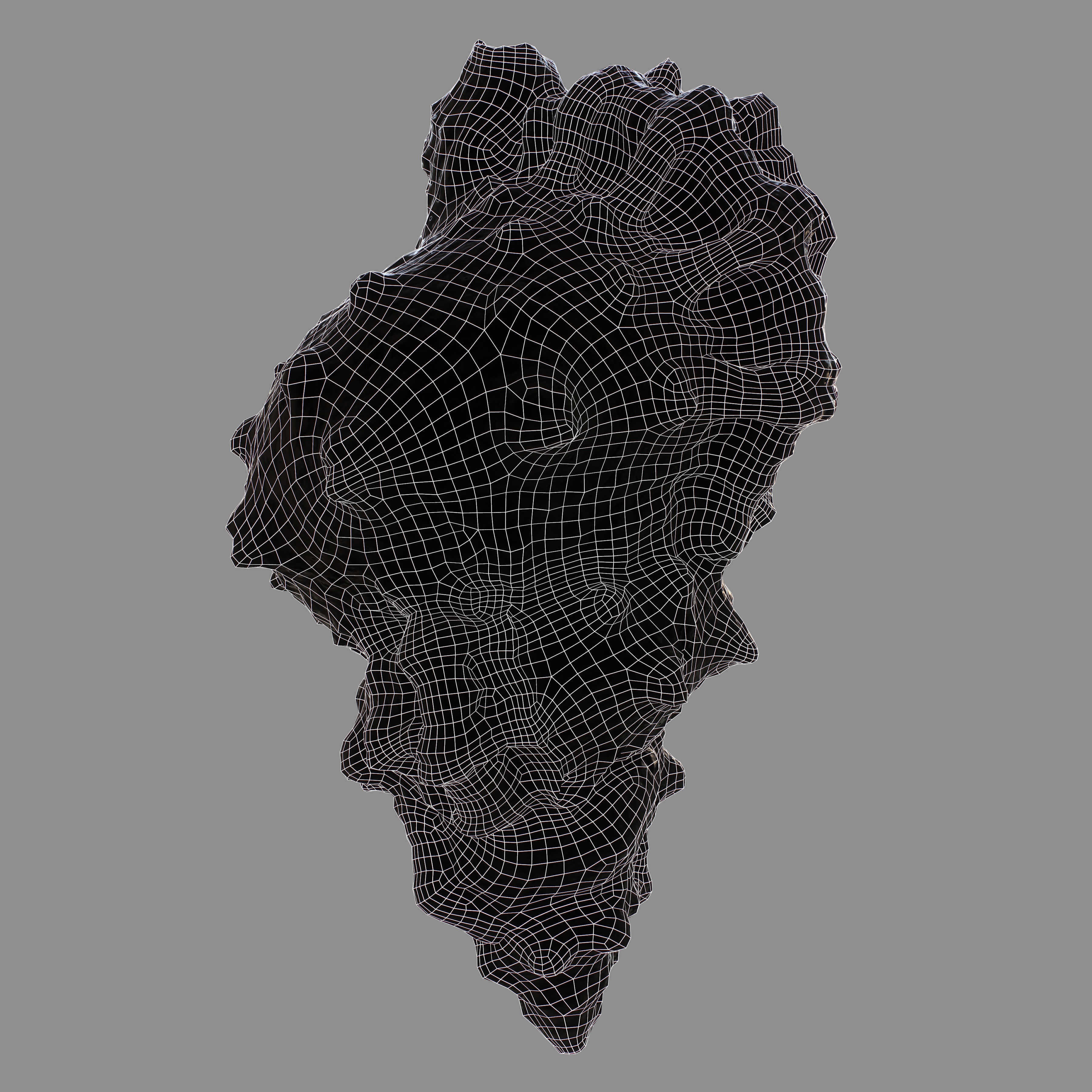 MURICIDAE Sea Shell Low-poly 3D model_12