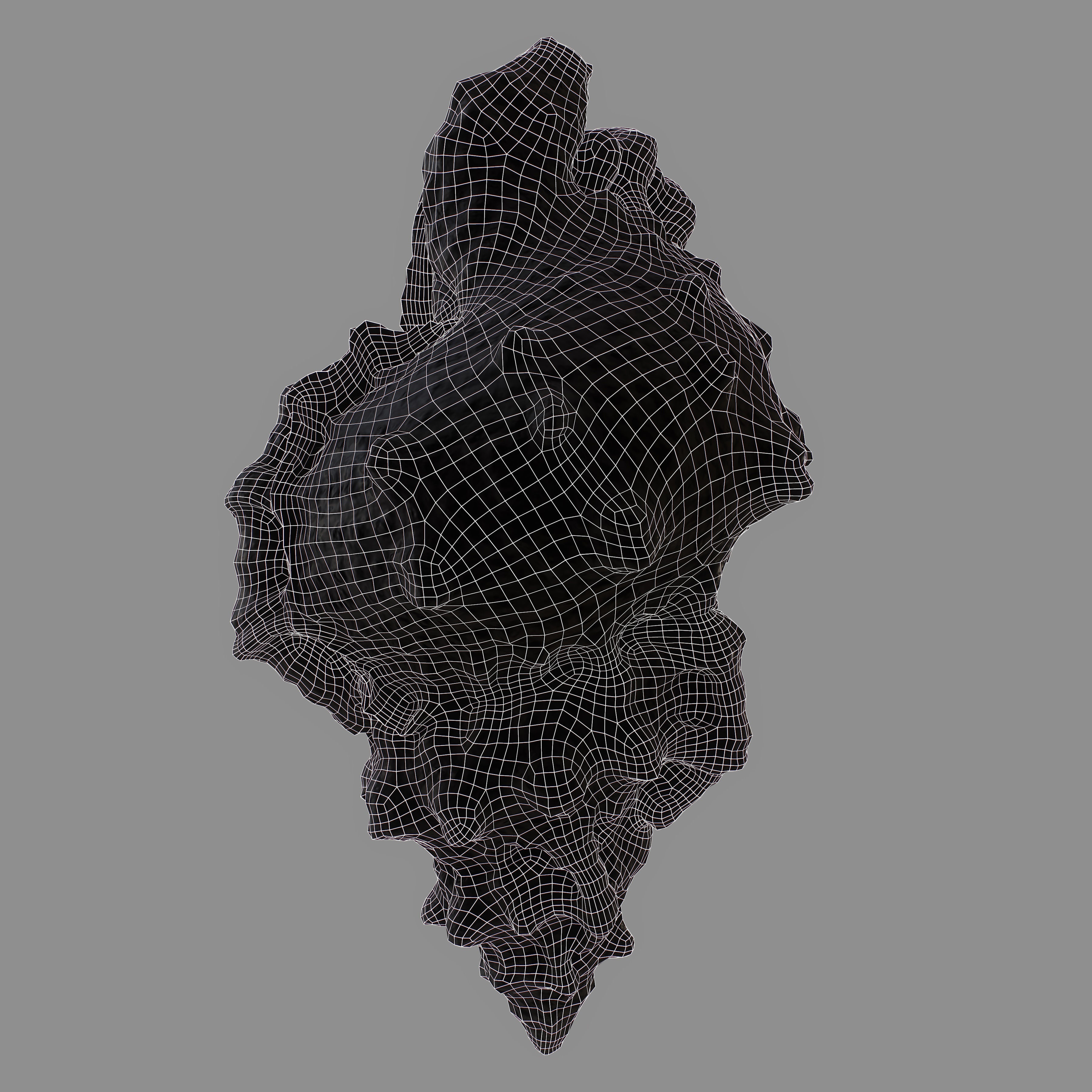 MURICIDAE Sea Shell Low-poly 3D model_11