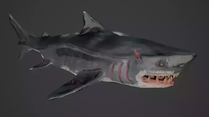 Stylized Low Poly Shark Game Ready Model