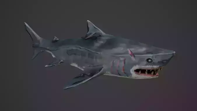 Stylized Low Poly Shark Game Ready Model
