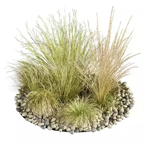 plant vol 729 - grass - carex - pampas
