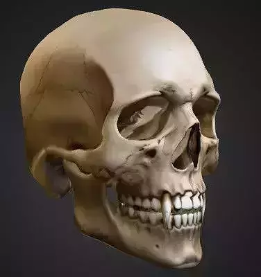 Vampire Skull