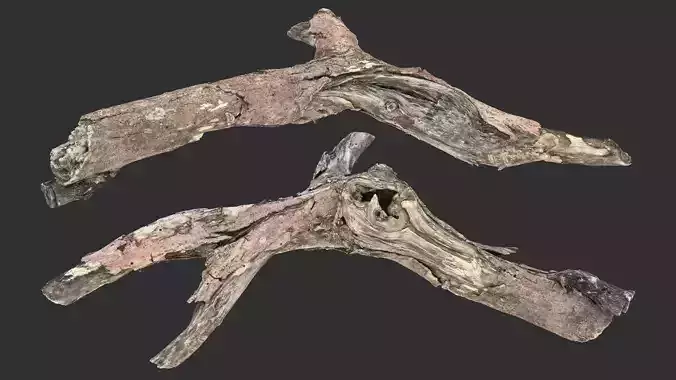 Realistic Tree Branch Wood Trunk 3D Scan highpoly