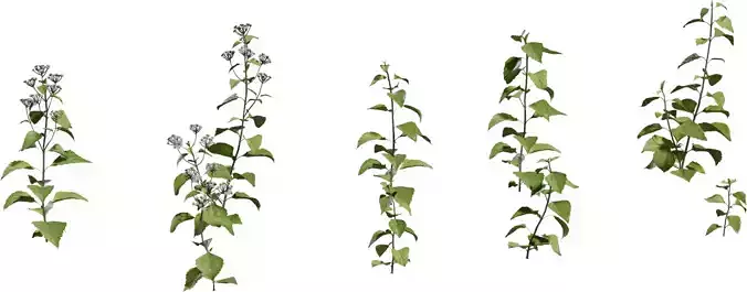 Game Ready Foliage Pack 