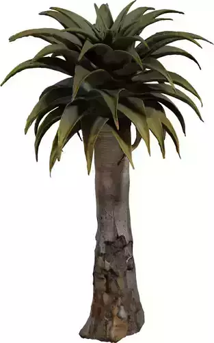 Game Ready Tree Aloe
