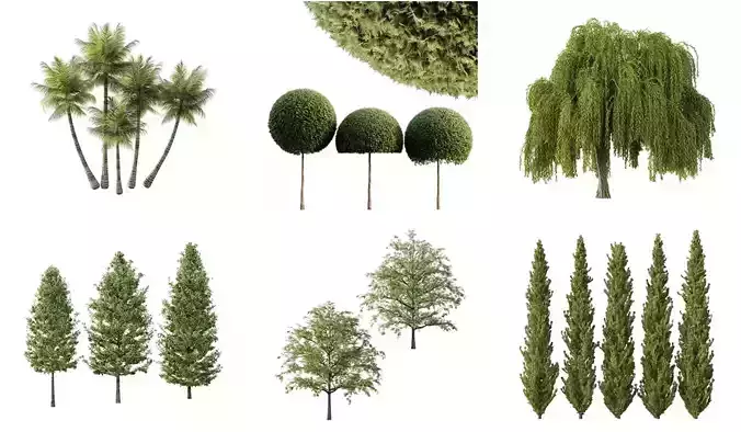 Excellent collection of Outdoor plants 19 Different Models 0033