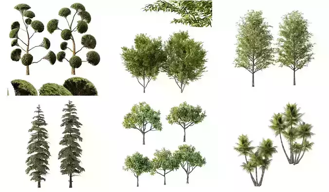 Excellent collection of Outdoor plants 15 Different Models 0034