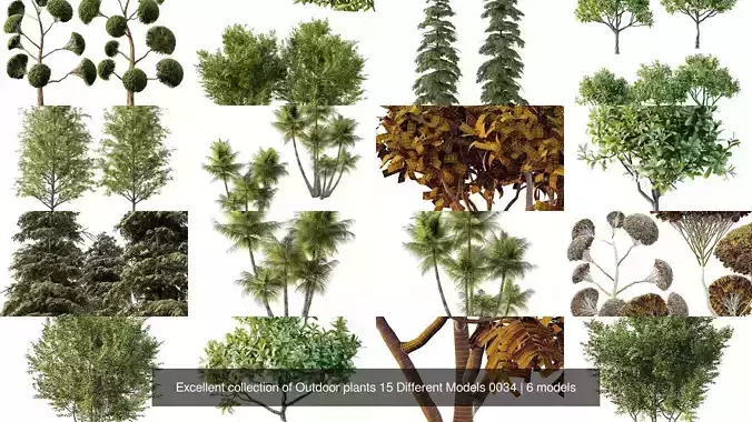 Excellent collection of Outdoor plants 15 Different Models 0034