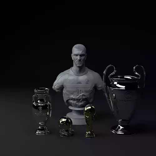 Zinedine Zidane Premium Trophy Diorama STL