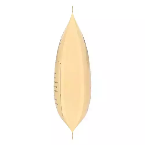 Pouch Or Plastic Bag Or Chips Package Low-poly 3D model 5