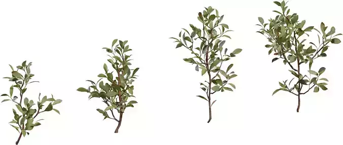 Photorealistic Shrub Branch Pack