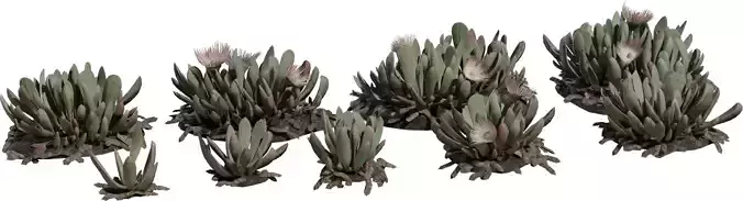 Stylized Desert Succulent Clump Pack