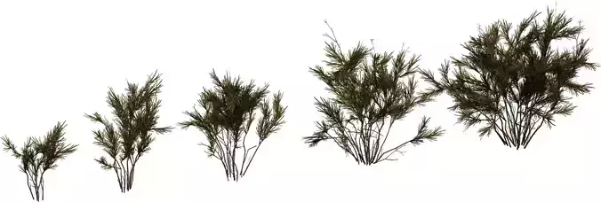 Stylized Rosemary Shrub Pack 