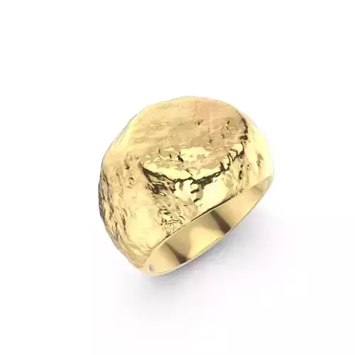 Rock Textured Ring Model