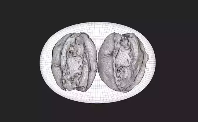 Jacket Potatoes Low-poly 3D model 6