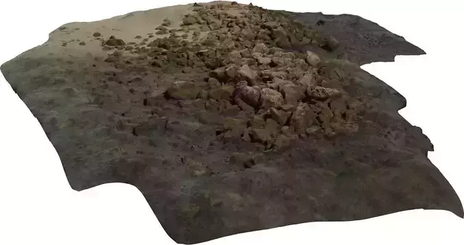 Coastal Rock and Algae Patch