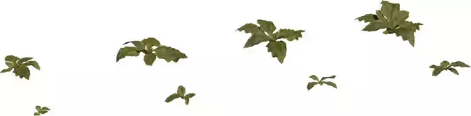 Stylized Groundleaf Cluster Pack 