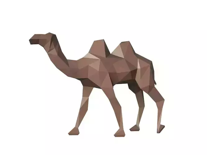 Camel Triangular
