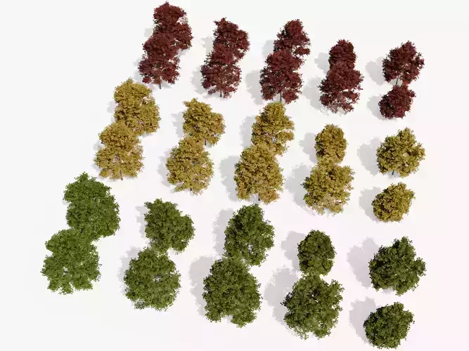 Trees Pack Green - Yellow - Red