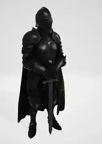 Shadow Knight Warrior