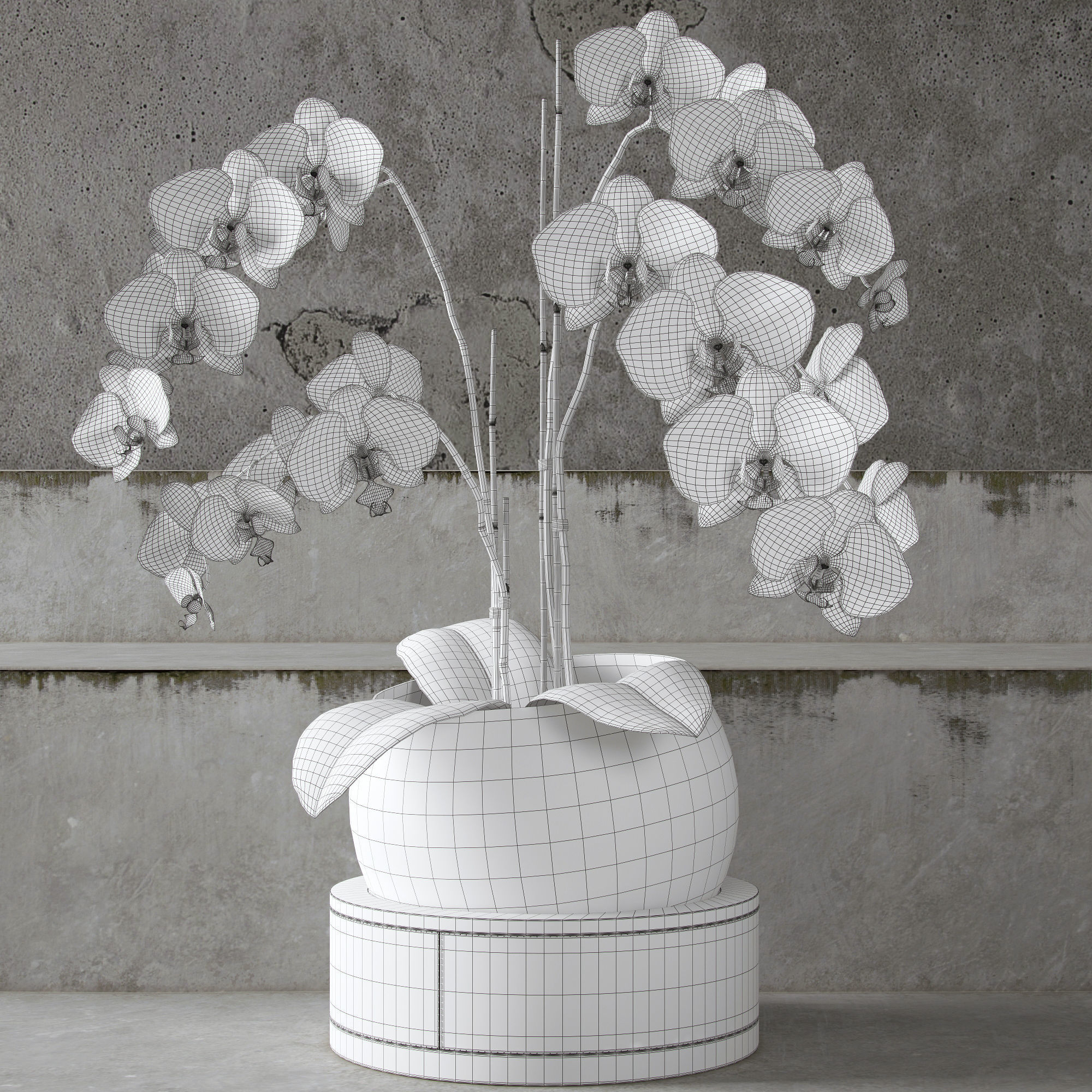 Orchid ART Auctor 3D model_4